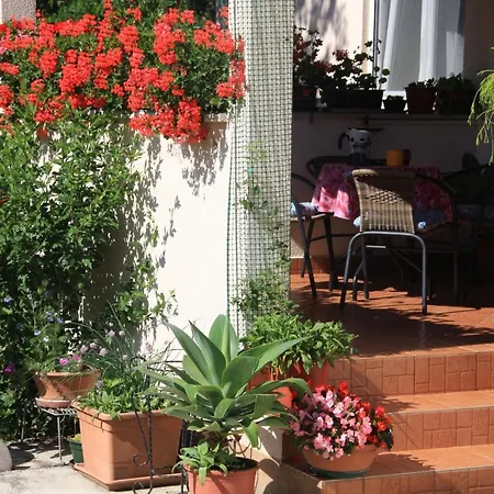 Appartement Rino *