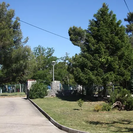 Rino * Bašanija
