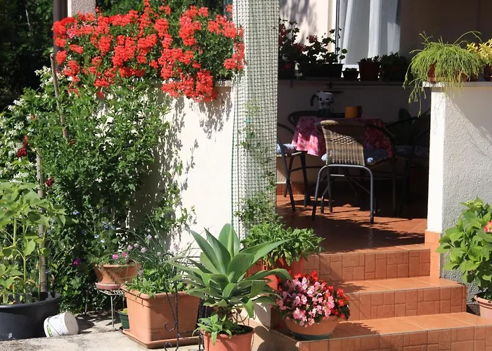 Appartement Rino *