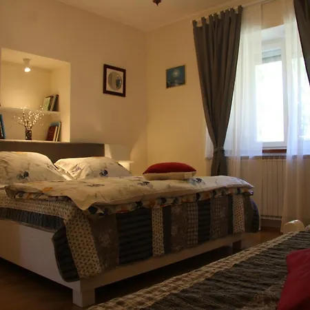 Apartment Rino Basanija