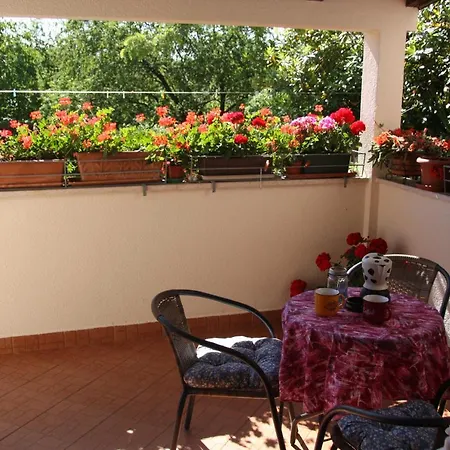 Rino Apartment Basanija