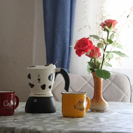 Apartman Rino
