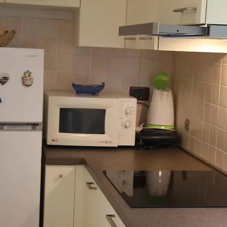 Apartment Rino Basanija